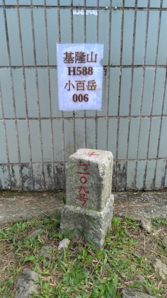 基隆山登山步道591985