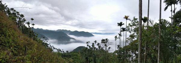 阿拔泉山稜線步道雲海1561760