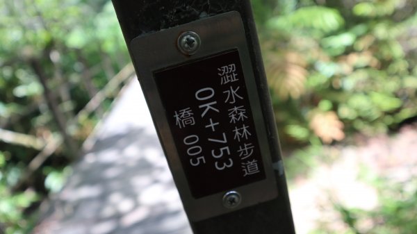 澀水森林步道登山健行趣(步道)2259827
