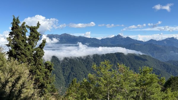 一日單攻桃山2903282