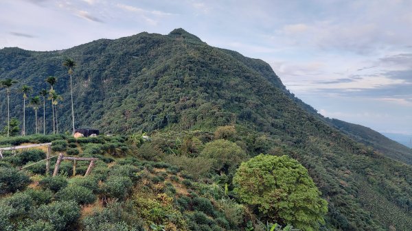 雲嘉九連峰1438903