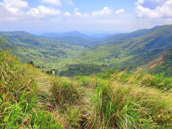 頂山，石梯嶺，竹篙山，雞心崙，五指山，梅花山，香對山，雙溪溝古道，風櫃嘴步道，土城明德山1664602