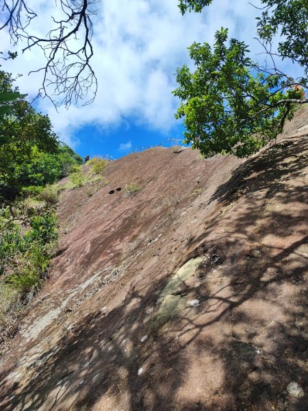 五寮尖登山步道 - (新北)臺灣百大必訪步道2312546