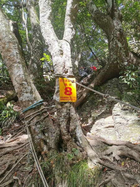 虎山、加里山縱走-2020/10/181139713