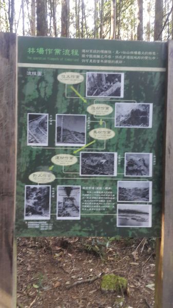 八仙山國家森林步道 2016 12 10191755