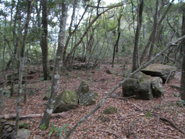 東閂岡山﹑梅松山﹑真巴烈山﹑麻加拉路山﹑摩里克安山1357356