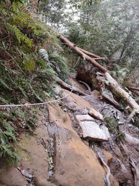 雪季北得拉曼2956431