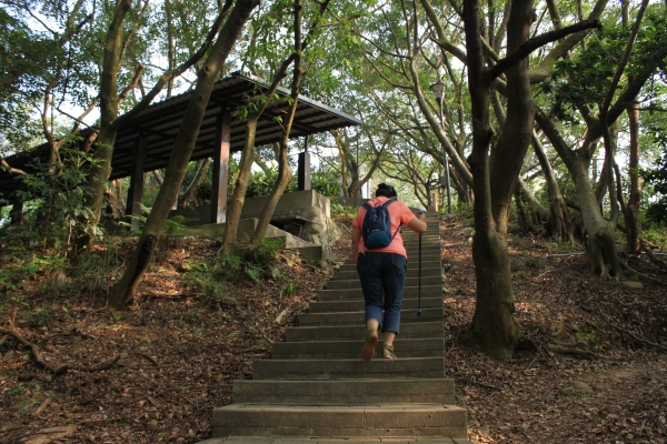 20170107台灣桃園虎頭山步道90641