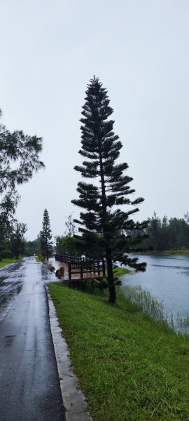 台東．森林公園202508013019163