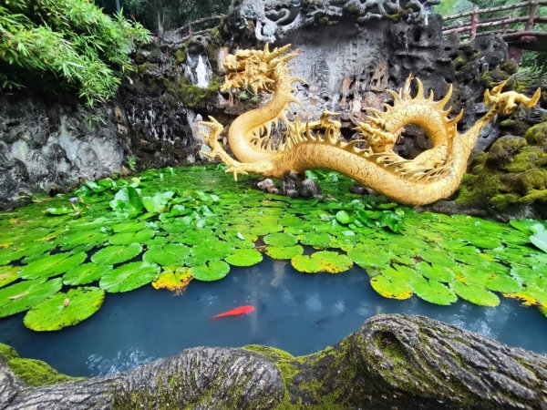 台中大甲鐵砧山2769476