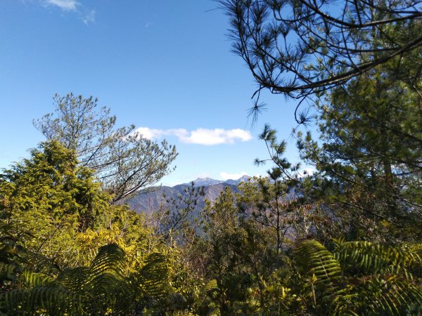 自忠山、東水山、北霞山、特富野古道826592