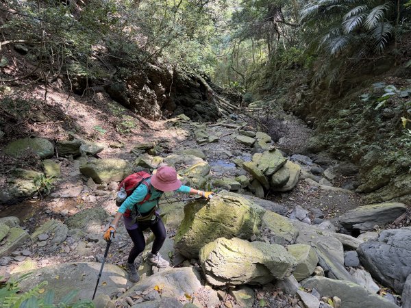 女仍山+帽子山O繞 202602273009555