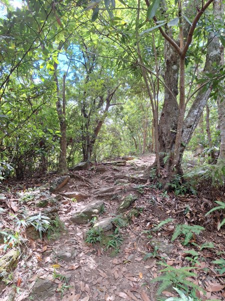 南澳朝陽步道小O202508312876508