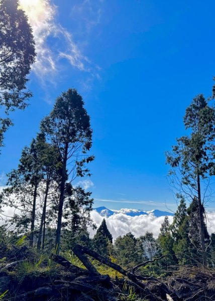 三星山(小百岳#85) 鳩之澤溫泉煮蛋趣2952821
