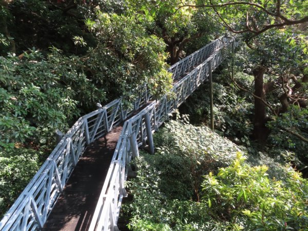 八里觀音山O形(順遊八里文化公園‧八里渡船頭老街)2062102