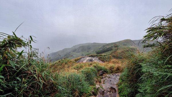 20251019 苗圃-七星山-小油坑2921125