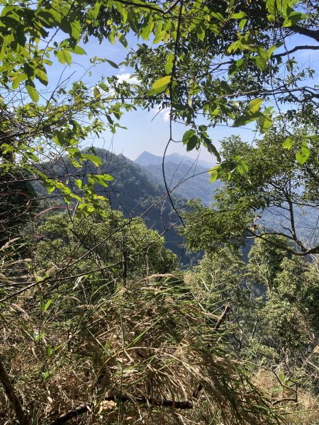 20260214三竹縱走;三腳南山+竹仔尖山3001689