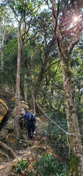 一日2座小百岳仙山、關刀山外加獅潭仙草秘境2082381