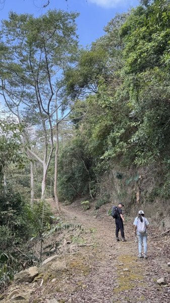 20260212 小百岳白雲山及西阿里關山3002908