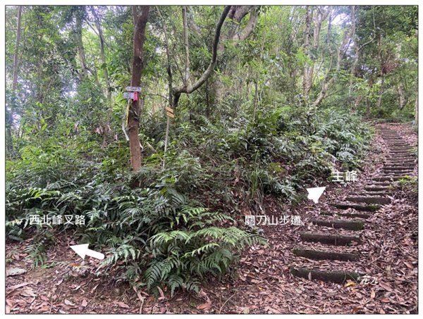 關刀山 (南入口)、關刀山西北峰 連走2804122