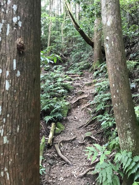 加里山134172