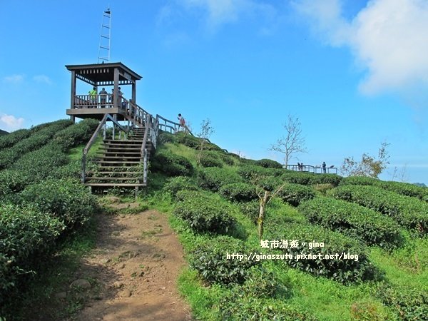 南投鹿谷~聽風~雲起~大崙山觀光茶園步道964990