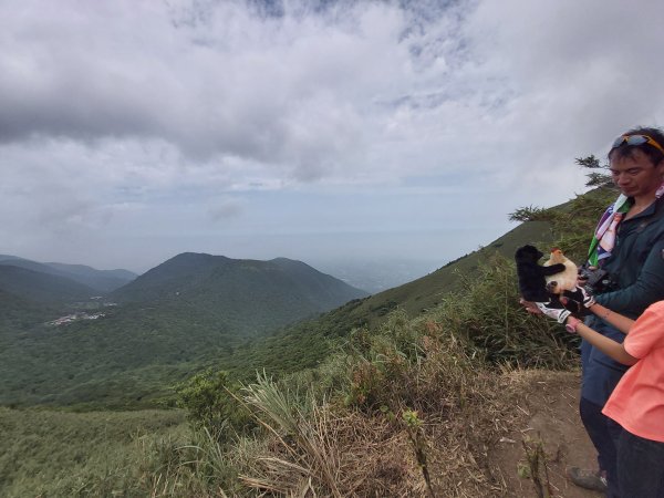 【北市-北投】小觀音山之一-小抹茶山977661