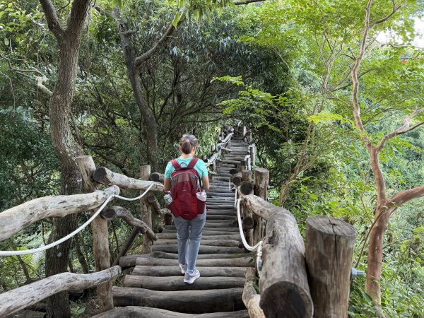 大坑4號上頭嵙山 3號3-1號O繞下山 202609133118717