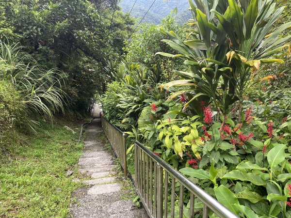 [微笑山線_ 第十段] 2025_0914 五分山系_菁桐煤礦段2889835