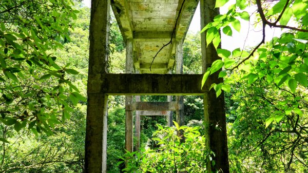 畝畝山。又上說2768137