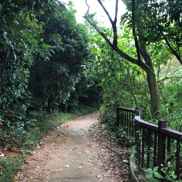 台灣小百岳No.048 橫山1102119