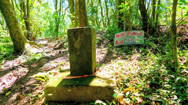 黃櫸皮寮山2898305