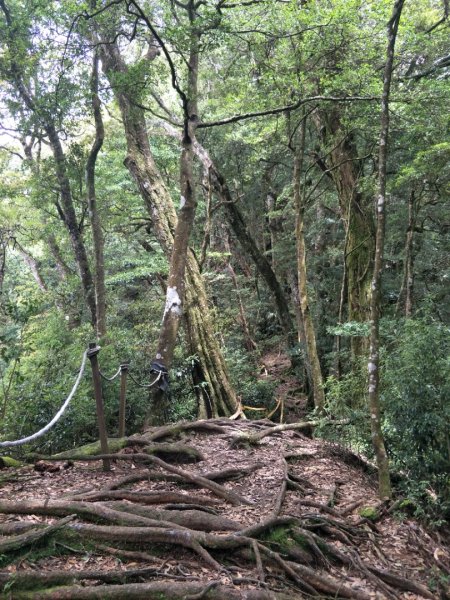 小百岳:稍來山1441831