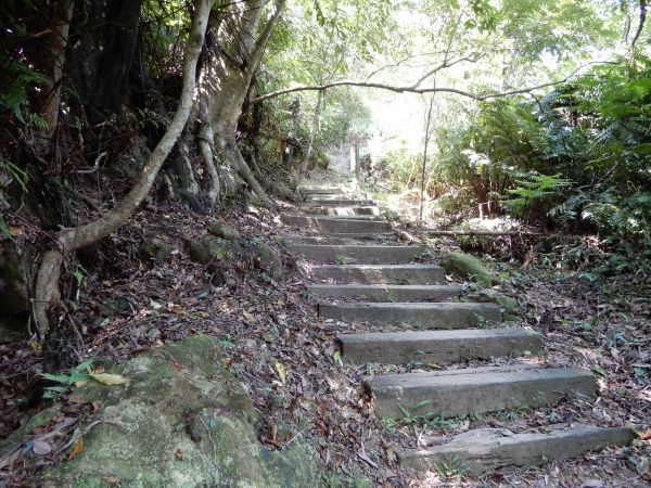 五指山古道+新山夢湖步道O型381688