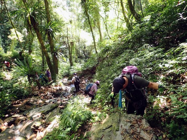 烏來總站-啦卡步道-522高地-大刀山-雲仙樂園-內洞林道-內洞森林遊樂區, 走到天黑黑...