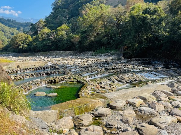 雪山坑登山步道尋巨人2978493