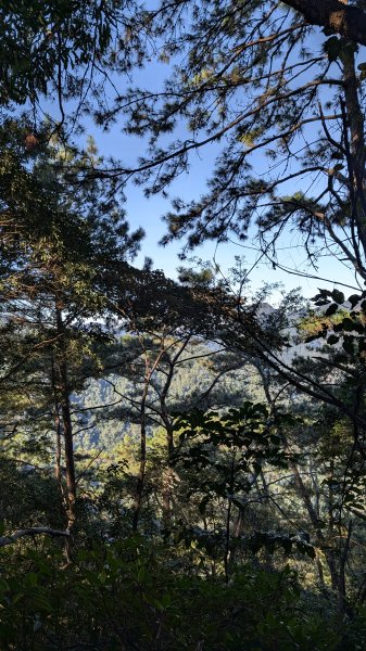 【中級山】五星級步道，谷關七雄馬崙山3021977