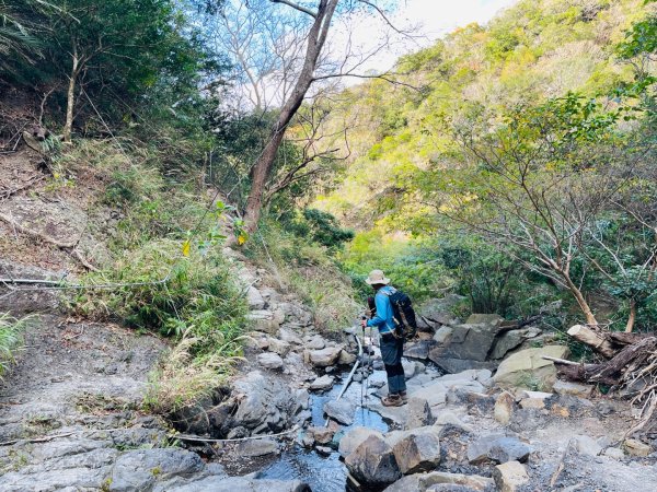 1150123里龍山2986722
