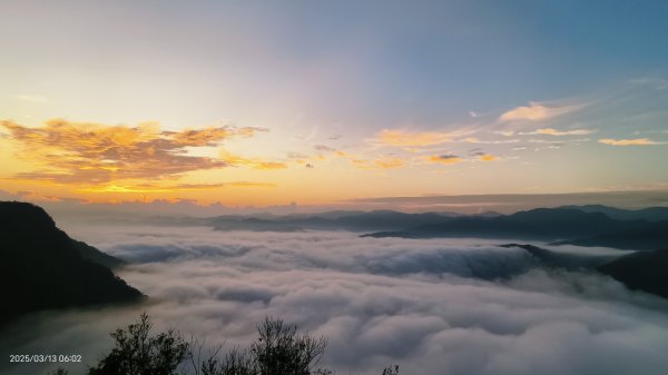 #翡翠水庫 #琉璃光 #日出 #雲海  #藍腹鷴 3/132734666