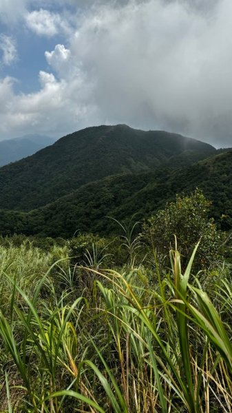 石龜山、叢雲山O走2592628