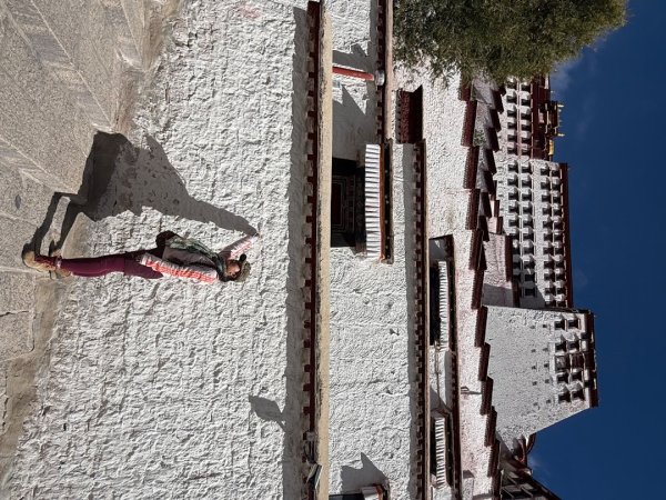 川藏318熱門的卡點-尼瑪-當惹擁措-大地之樹-雅丹地貌聖象天門2905194