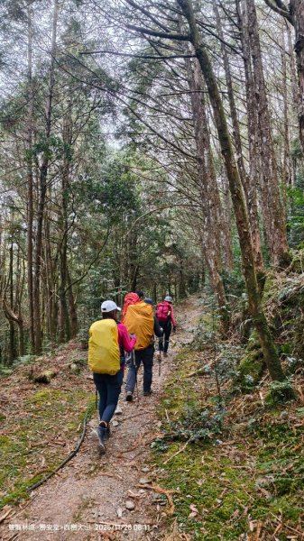 114.11.28-29 雙龍林道~巒安堂~西巒大山2954853