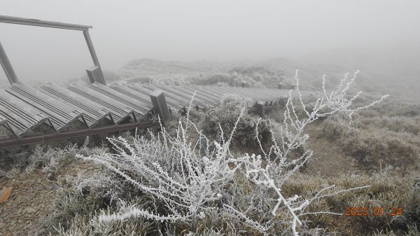 雪,白了山頭.雲,活了天空-寒流追雲趣,第七次合歡山主/東/北峰獨攀單攻(車接駁)202301242004476