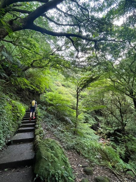 台北 陽明山 絹絲瀑布-擎天崗2722162