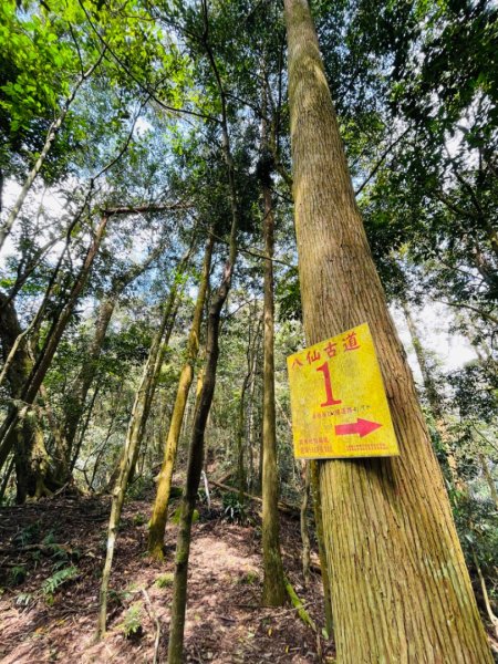 1140319仙山-仙山南峰2738266