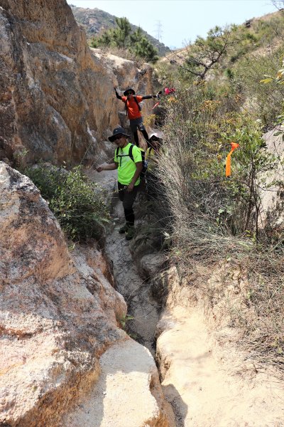 HK - 青山復地1482567