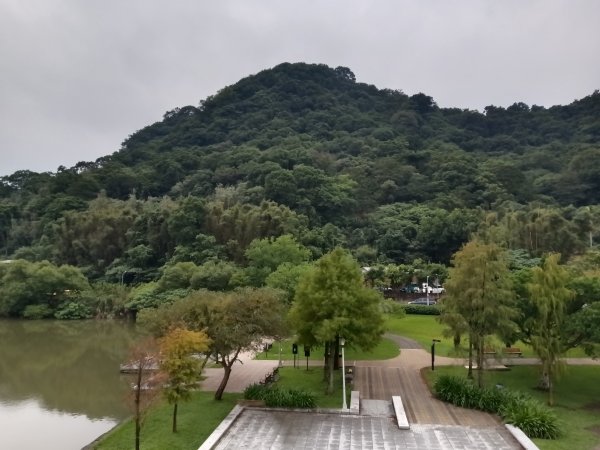 內湖區大湖公園+白鷺鷥山2931131