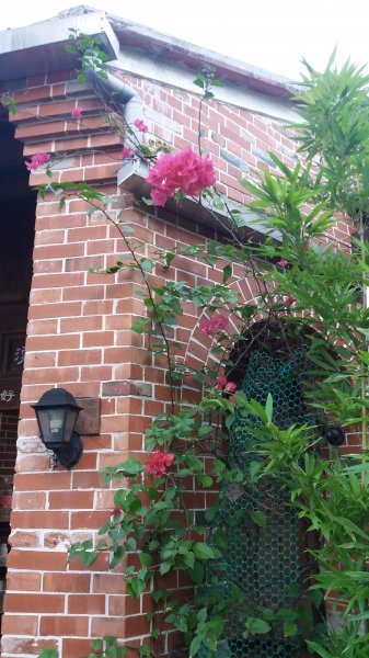 20181124 鳶山466125