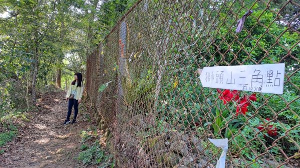 獅山古道+六寮古道 P型健行2576357