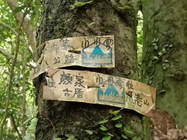 瑞芳區過港山+四腳亭砲台+深奧砲台山P字走2803753